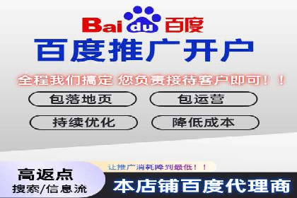 某电商平台的SEM优化案例分享